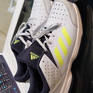 Adidas sneakers